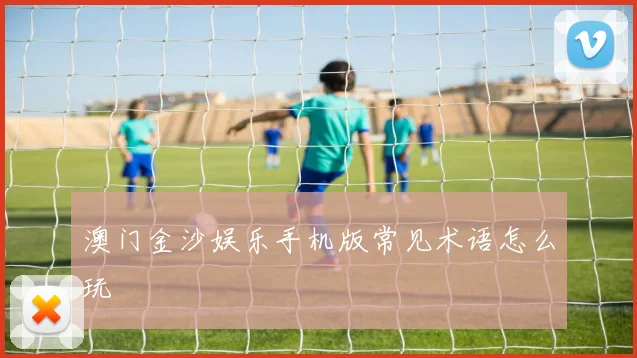 澳门金沙娱乐手机版常见术语怎么玩