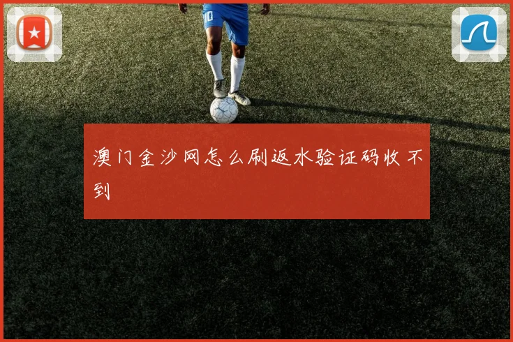 澳门金沙网怎么刷返水验证码收不到